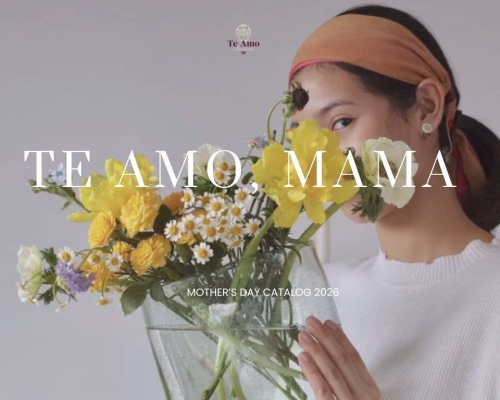 IMAGE 2026-04-09 09:25:32